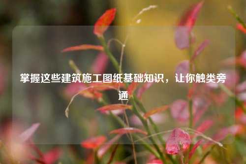 掌握這些建筑施工圖紙基礎知識，讓你觸類旁通-圖1