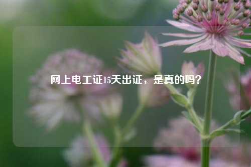 網上電工證15天出證，是真的嗎？-圖1