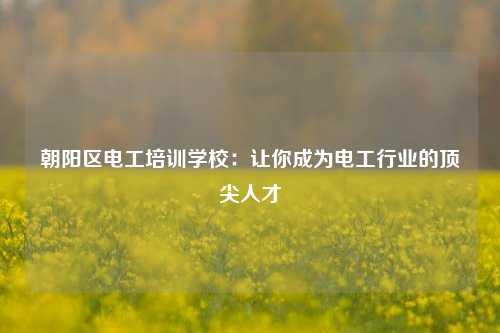 朝陽區電工培訓學校：讓你成為電工行業的頂尖人才-圖1