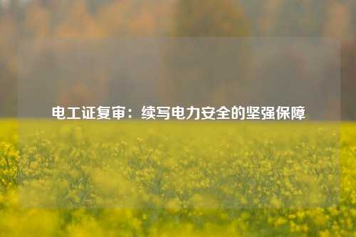 電工證復(fù)審：續(xù)寫電力安全的堅強保障-圖1
