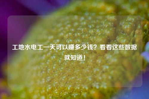工地水電工一天可以賺多少錢(qián)？看看這些數(shù)據(jù)就知道！-圖1