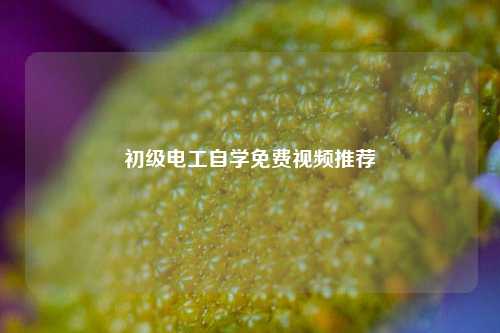 初級(jí)電工自學(xué)免費(fèi)視頻推薦-圖1