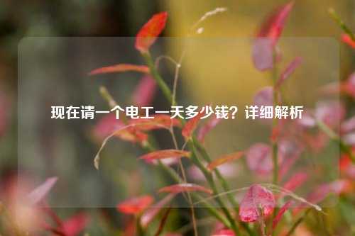 現在請一個電工一天多少錢？詳細解析-圖1