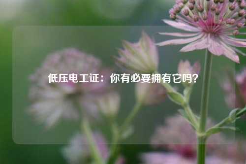 低壓電工證：你有必要擁有它嗎？-圖1