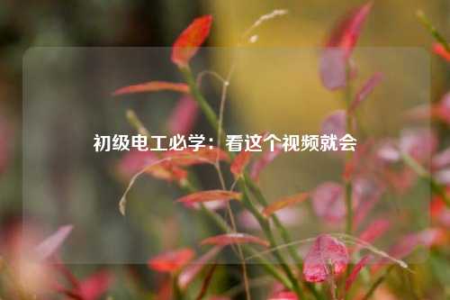 初級電工必學：看這個視頻就會-圖1