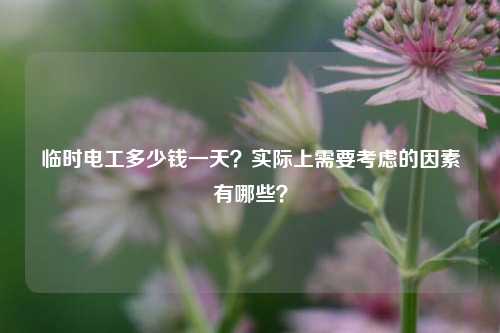 臨時電工多少錢一天？實際上需要考慮的因素有哪些？-圖1