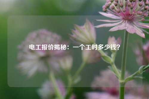 電工報價揭秘：一個工時多少錢？-圖1