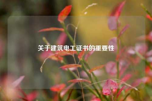 關于建筑電工證書的重要性-圖1