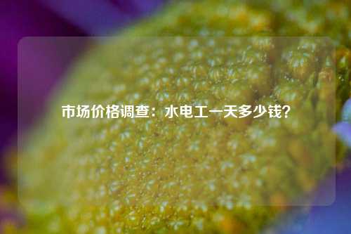 市場(chǎng)價(jià)格調(diào)查：水電工一天多少錢(qián)？-圖1