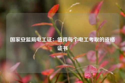 國家安監局電工證：值得每個電工考取的資格證書-圖1