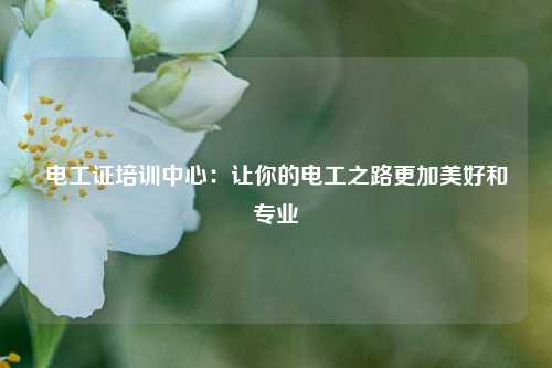 電工證培訓中心：讓你的電工之路更加美好和專業-圖1