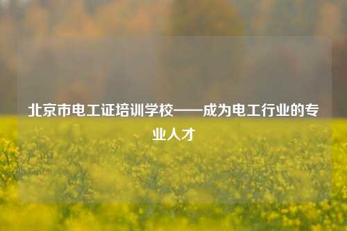 北京市電工證培訓(xùn)學(xué)?！蔀殡姽ば袠I(yè)的專業(yè)人才-圖1