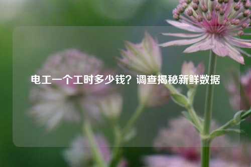 電工一個工時多少錢？調查揭秘新鮮數據-圖1