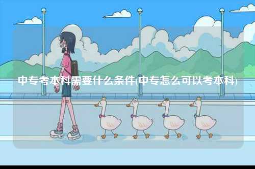 中專考本科需要什么條件(中專怎么可以考本科)-圖1