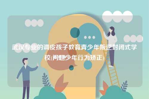 武漢專業的調皮孩子教育青少年叛逆封閉式學校(問題少年行為矯正)-圖1